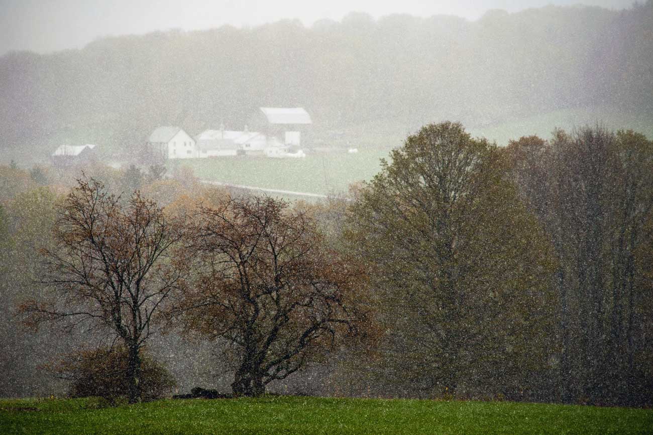 Barnard, Vermont Landscape Photograph of Doton Farm & Kiss The Cow Farm